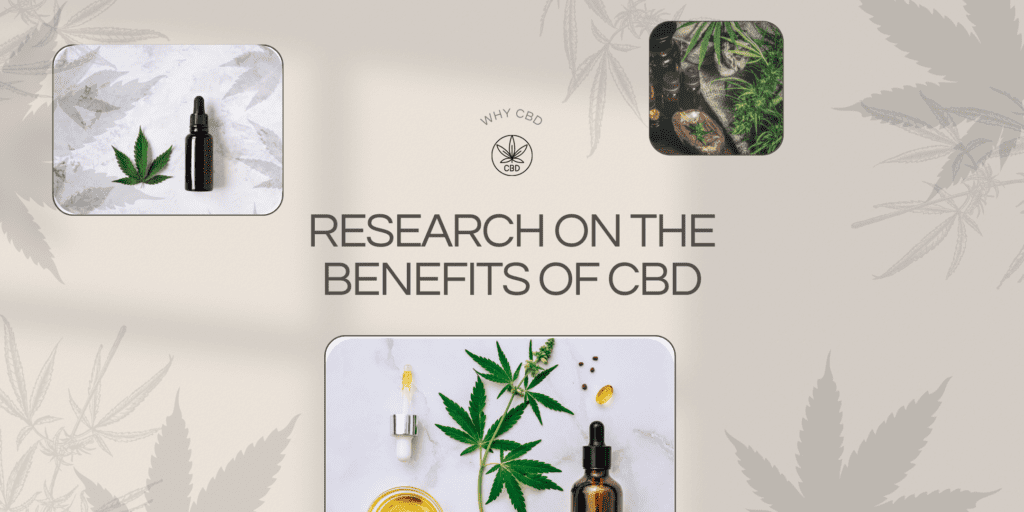 Research on the Potential Benefits of CBD