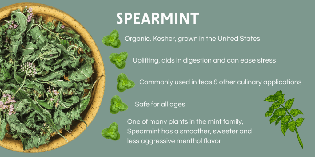 Spearmint