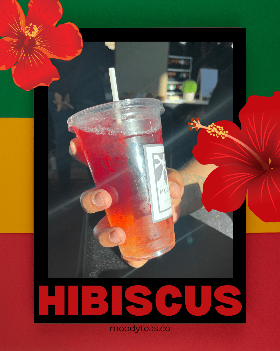 Hibiscus Black History Month