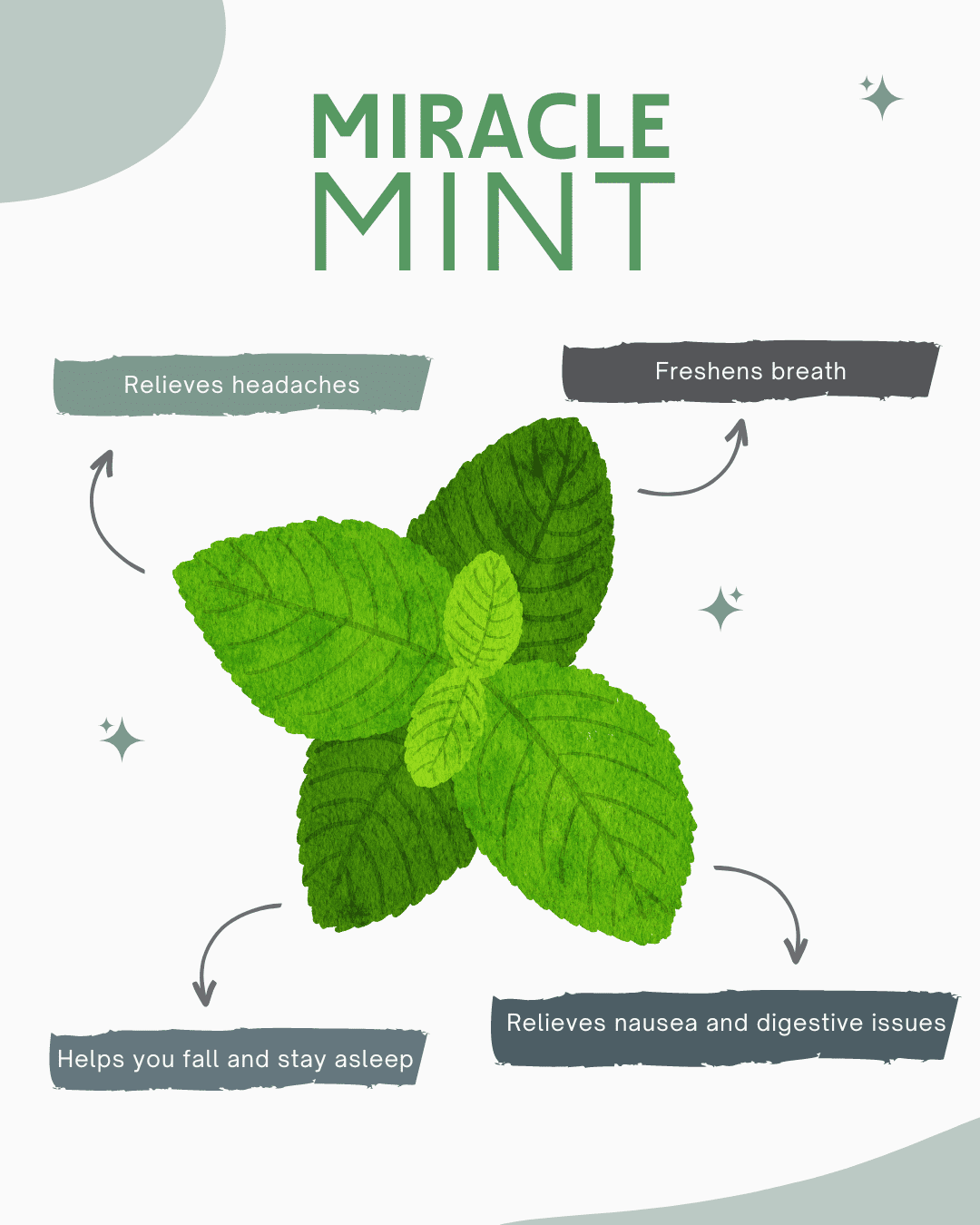 Miracle Mint: 7 Reasons You Need Mint Tea 