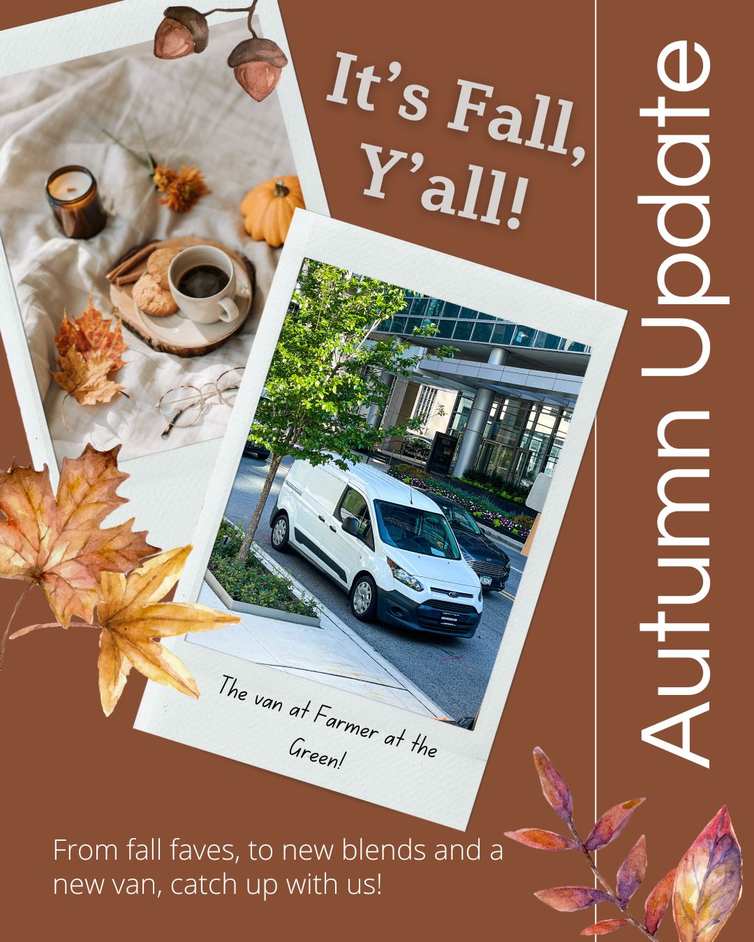 It's Fall Yall! We're back, and we've got tons of tea to spill! From bringing back our fall faves, to new blends and a new van, read our autumn update to find out what's up!