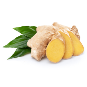 A fresh ginger root with three slices, and several fresh ginger leaves in the background.