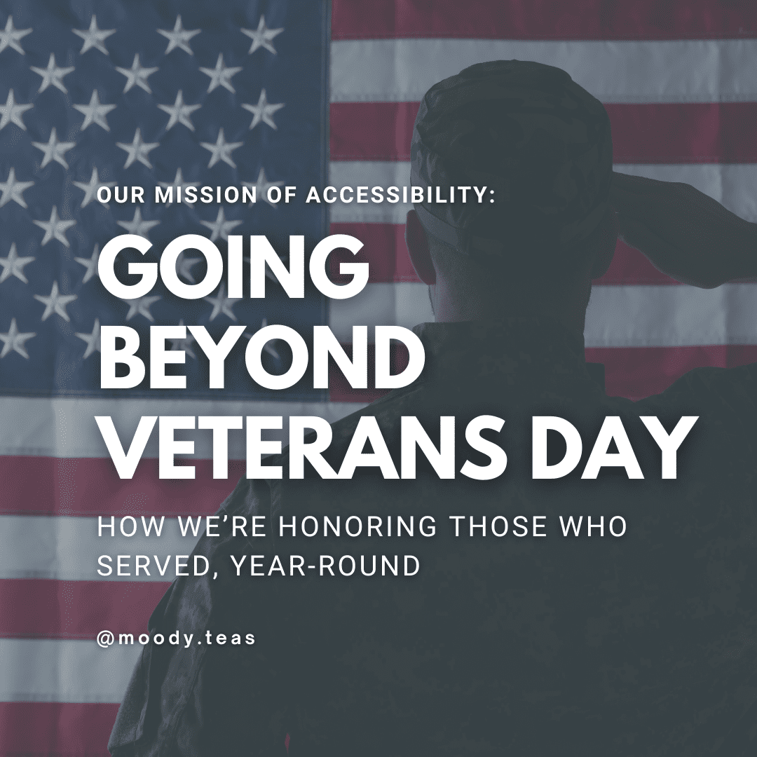 Our mission of accessibility: how we're going beyond veteran's day to honor those who've served year round. Image of a solider in shadow, saluting the American flag.